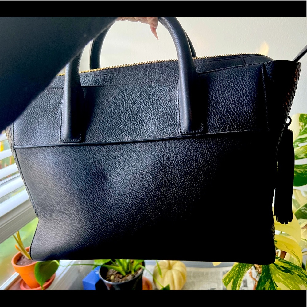 Sofia Al Asfoor Python Shield Bag - image 2